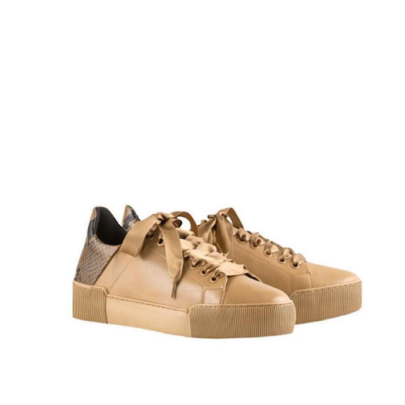 Chaussures Högl lacées couleur caramel et imprimé python.