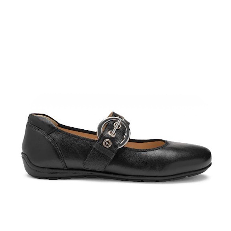 Ara Bégonia en cuir noir.