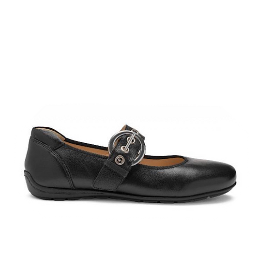 Ara Bégonia en cuir noir.