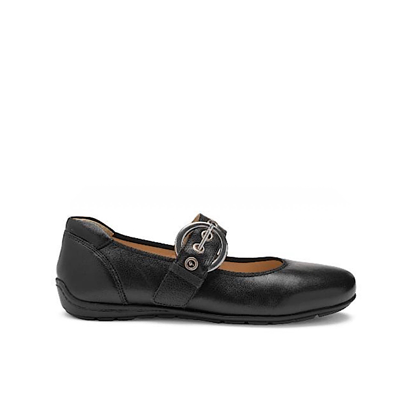Ara Bégonia en cuir noir.