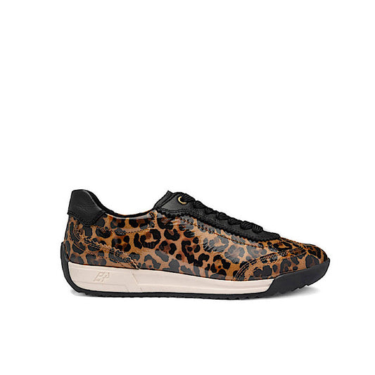 Ara Spirit en cuir verni léopard et cuir noir.